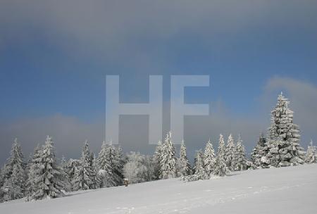 Schnee auf dem Kahlen Asten im Sauerland