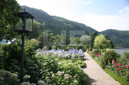 Staudengarten am Rhein