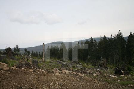 Trostloser Blick vom Wurmberg hinüber zum Brocken