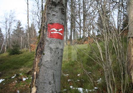 Auf dem Kahlen Asten im Februar (8)