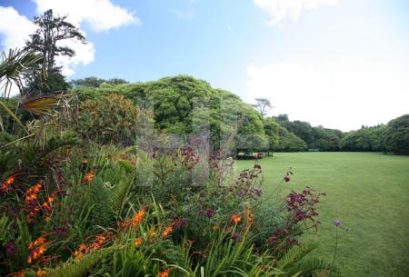 "The Lost Gardens of Heligan" bei Mevagissey, Cornwall (1)