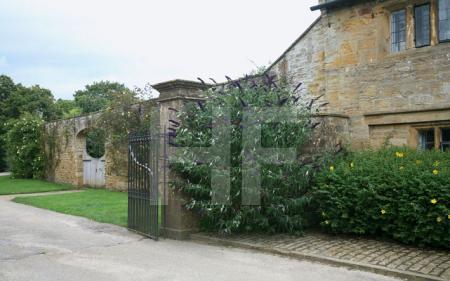 Cottages von Montacute House, Somerset