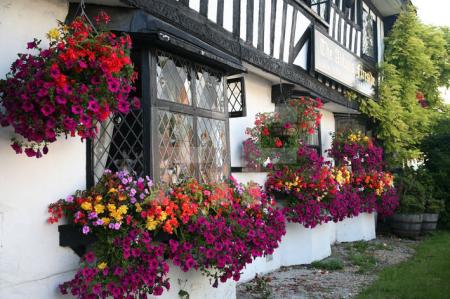 Die prächtigen "Hängegärten" an "The Abbots Fireside" in Elam, Kent